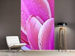 With a wide variety of beautiful wallpapers and murals, we are the go to place to find the perfect wallpaper for your home or office space. Makro Photo Wallpapers