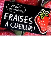 Decouvrez Nos Producteurs De Fruits Bio Et Locaux Pres De Nantes