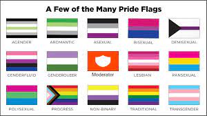 Some pride flags : rdankmemes