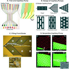 Tamilnadu postal circle notification will be downloaded on question 2: Capillary Microfluidics In Microchannels From Microfluidic Networks To Capillaric Circuits Lab On A Chip Rsc Publishing Doi 10 1039 C8lc00458g