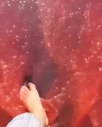 This blood-red beach