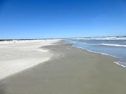 Cumberland Island National Seashore Georgia S Coastal Jewel