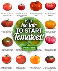 We did not find results for: 59 Heirloom Tomatoes Ideas In 2021 Heirloom Tomatoes Tomato Garden Growing Tomatoes