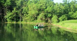 De câteva minute un dinozaur a evadat din parcul dinopark din băile sărate și în acest moment este in centru.situația e sub control,revenim cu informații! Ce Spune Un Doctor Despre Apele Lacului DurgÄƒu Si A BÄƒilor SÄƒrate Turda Inturda Ro