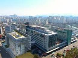 Breast cancer accounts for almost a quarter of n. Korea University Anam Hospital Ibra International Bone Research Association