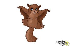 We did not find results for: How To Draw A Flying Squirrel Drawingnow