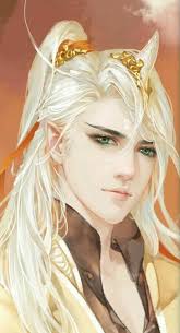 Жена для эльфийского принца