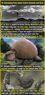 35 Interesting Facts About Extinct Animals And Birds Fact Republic Fun Facts Extinct Animals Animal Facts