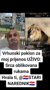 Rizvanovic Video