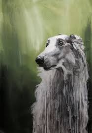 ANIMAL INTERSECTIONS