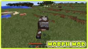 Hide morph mod minecraft pe allows you to transform into another mob of the game. Morph Mod Minecraft La Ultima Version De Android Descargar Apk