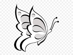 Clipart Butterfly Outline Outline Images Of Butterflies Png Free Transparent Png Images Pngaaa Com Butterfly black and white animals categories of 43kb 822x667: