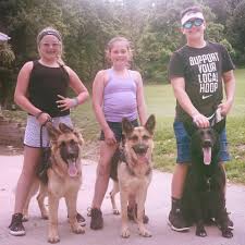 I am a very energetic and playful akc male german shepherd puppy! Ohio German Shepherd Puppies Home Facebook