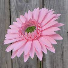 Pin On Flores