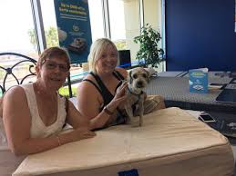 Is adopt a pet free? Best Mattress Pet Adoption Rufus Best Mattress