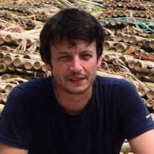 Are you a geographer specializing in land cover and land use mapping in  West Africa?