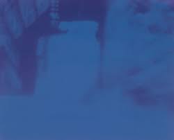 Artist List Artist News Exhibitions Photography Now Com