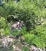 Forstbotanischer garten is located at germany, brandenburg, barnim, eberswalde, forstbotanischer garten. Forstbotanischer Garten Eberswalde 2020 All You Need To Know Before You Go With Photos Tripadvisor