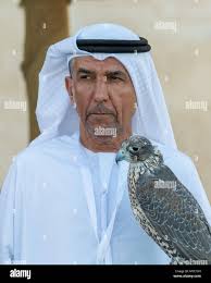 Man hunting falcon immagini e fotografie stock ad alta risoluzione