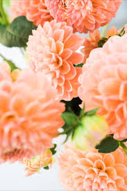 Peach colored flowers for you. Pass The Peaches Flowers Beautiful Flowers Rooting Roses