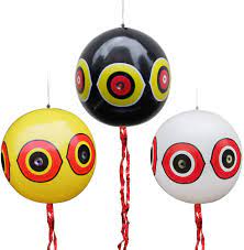 You need to take steps to discourage them. Buy Mortime 3pcs Balloon Bird Repellent 24 Terror Eye To Scare Birds In Garden Outdoors Keep Ducks Away From Swimming Pool Online In Indonesia B083nxtzz6