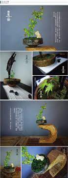 墨蓝 匣钵花器花盆日式禅意插花花道多肉盆栽古朴破旧历史感 bonsai indoor plants potted plants