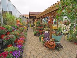 See reviews, photos, directions, phone numbers and more for the best campgrounds & recreational vehicle parks in new glarus, wi. Brenda S Blumenladen New Glarus 2021 All You Need To Know Before You Go With Photos Tripadvisor