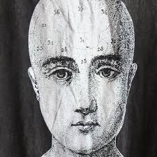 Mountain Wild Trout Salmon Fish Design Print Pattern, Canvas Strap Fanny  Pack Bag