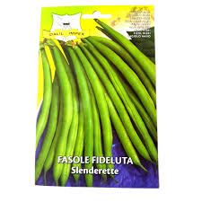 Fasolea verde fideluta cu smantana, se va servi cu paine prajita sau proaspata scoasa din cuptor. Seminte Fasole Fideluta Slenderete 50g Emag Ro
