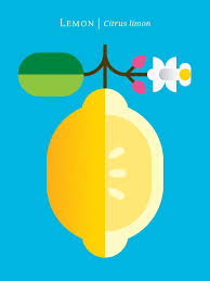 Fruit' posters by Chris Dina