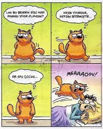 Kedilerle Ilgili Karikaturler Komik Kedili Karikaturler 2020 Karikatur Komik Kedi