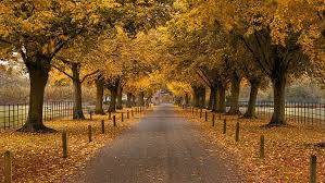 4k 0:34 ombak air garis pantai. Wallpaper Pemandangan Indah 1920x1080 Hd Unduh Gratis Wallpaperbetter