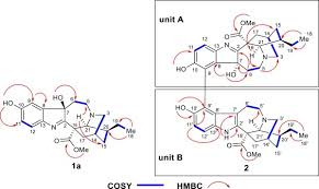 Image result for Tabernaemontana penduliflora