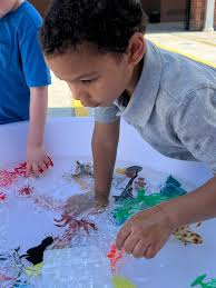 Sunrise Elementary...