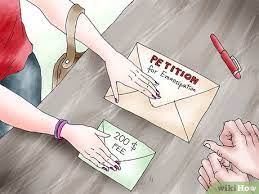 How To Get Emancipated As A Teen: 11 Steps (With Pictures)