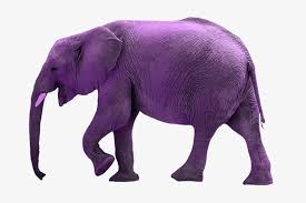 Maybe you would like to learn more about one of these? Asian Elephant Silhouette Png Png Image Transparent Png Free Download On Seekpng