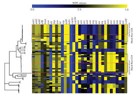 Rezidivierenden hautinfektionen ansonsten gesunder patienten ist ggf. Using Whole Genome Analysis To Examine Recombination Across Diverse Sequence Types Of Staphylococcus Aureus