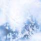 Unfurling into Winter event image
