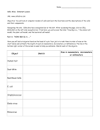 The line in the bottom right corner of the screen is used to help you estimate. Name Url Www Cellsalive Com Cells Alive Internet Lesson
