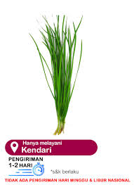 We did not find results for: Family Garden Daun Kucai 200g Klikindomaret