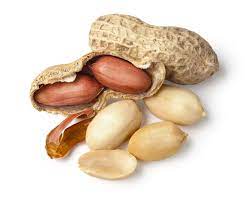Can Peanuts Cause Diarrhea?