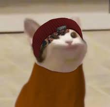 He didn't do anything wrong. Wilbur Popcat In 2021 Pop Cat Cat Icon Wilbur