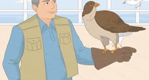 Your body should be loose and relaxed, while your. How To Throw A Tomahawk 12 Steps With Pictures Wikihow