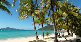 Compare prices of hotels in tullamarine on kayak now. Cheap Flights Melbourne Hamilton Island From 141 Jetcost