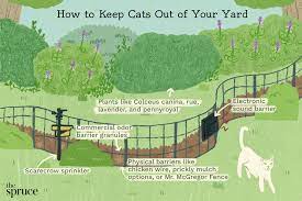 Citrus sprays seem to work well too. Ways To Keep Cats Out Of Your Yard Or Garden