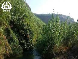 من احدى مناطق وادي اليرموك في ريف درعــا الغربي Water Outdoor River