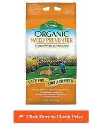 While you can probably use this product by simply pouring a little bit onto the plant you want to kill, or mixing it with some water, you can also created an especially. Pet Friendly Weed Killers