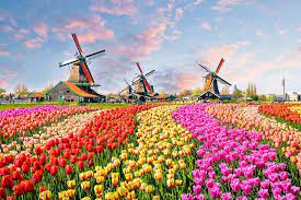 Полное имя — томас стэнли холланд (thomas stanley holland). The Netherlands Is Officially Dropping Its Holland Nickname Tatler Hong Kong