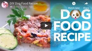 Your dog can have a healthy snack of carrot sticks, green beans, cucumber slices, or zucchini slices. Is Raw Zucchini Good For Dogs Pasteurinstituteindia Com