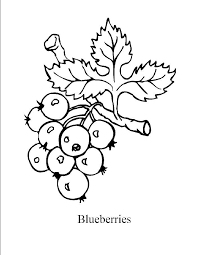 20 Blueberry Coloring Pages To Print For Kids Coloring Pages Mandala Coloring Pages Free Printable Coloring Pages